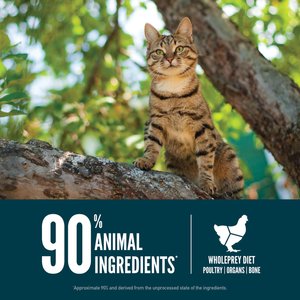 ORIJEN Guardian 8 Grain-Free High-Protein Premium Dry Cat Food, 10-lb bag