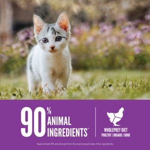 ORIJEN Kitten Grain-Free High-Protein Premium Dry Cat Food, 7-lb bag