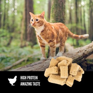 ORIJEN Original Freeze-Dried Grain-Free High-Protein Raw Animal Ingredients Cat Treats, 1.25-oz bag