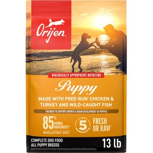 ORIJEN Puppy Large Grain-Free High-Protein Dry Dog Food, 13-lb bag