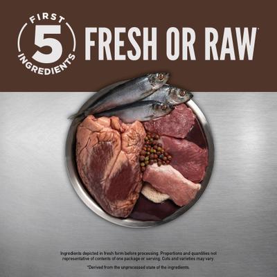 Show full view: ORIJEN Real Meat Shreds Beef Recipe Stew Wet Food + Regional Red Dry Dog Food slide 4 of 8