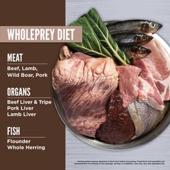 ORIJEN Regional Red Grain-Free High-Protein Freeze-Dried Dog Food & Topper, 16-oz bag slide 2 of 9