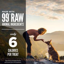ORIJEN Regional Red Grain-Free High-Protein Freeze-Dried Dog Treats, 3.25-oz bag slide 2 of 7