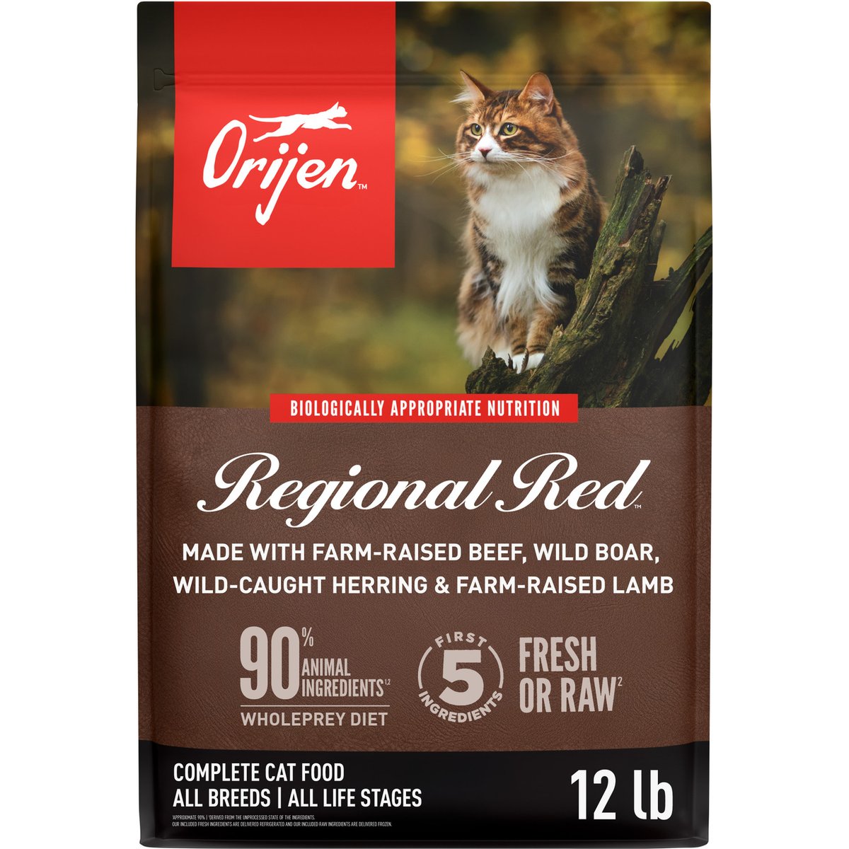 ORIJEN Regional Red Grain-Free High-Protein Premium Dry Cat Food, 24-lb bundle