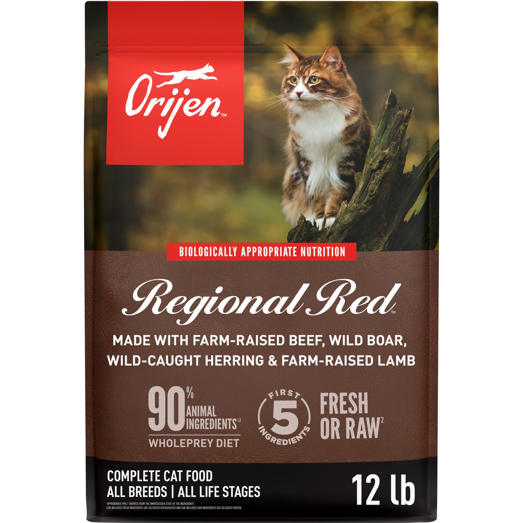 Orijen Regional Red Dry Cat Food, 12-lb bag