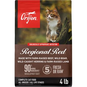 ORIJEN Regional Red Grain-Free High-Protein Premium Dry Cat Food, 4-lb bag