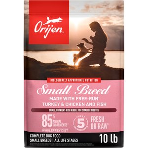 ORIJEN Small Breed Grain-Free High-Protein Dry Dog Food, 10-lb bag
