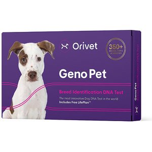 Orivet Geno Pet Dog DNA Breed Identification Test