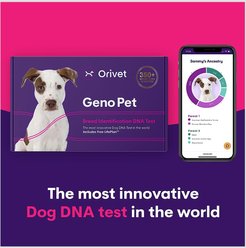 Orivet Geno Pet Dog DNA Breed Identification Test slide 2 of 7