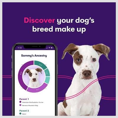 Show full view: Orivet Geno Pet Dog DNA Breed Identification Test slide 4 of 9