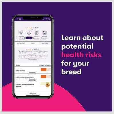 Show full view: Orivet Geno Pet Dog DNA Breed Identification Test slide 5 of 9