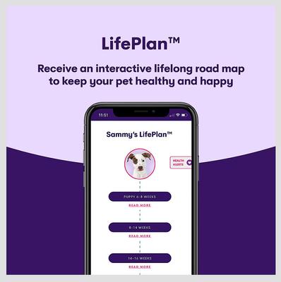 Show full view: Orivet Geno Pet Dog DNA Breed Identification Test slide 6 of 9
