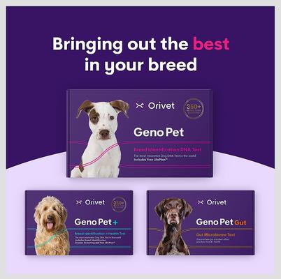 Show full view: Orivet Geno Pet Dog DNA Breed Identification Test slide 8 of 9