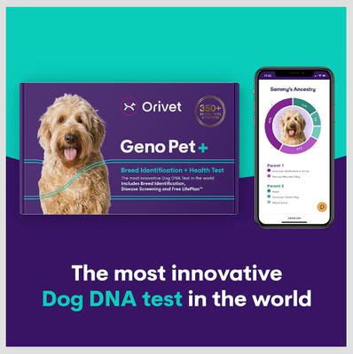 Show full view: Orivet Geno Pet Plus Dog DNA Breed Identification + Health Test slide 3 of 8