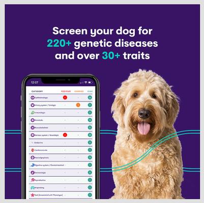 Show full view: Orivet Geno Pet Plus Dog DNA Breed Identification + Health Test slide 5 of 8