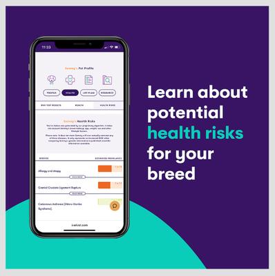 Show full view: Orivet Geno Pet Plus Dog DNA Breed Identification + Health Test slide 6 of 8