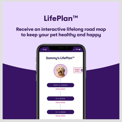 Show full view: Orivet Geno Pet Plus Dog DNA Breed Identification + Health Test slide 7 of 8