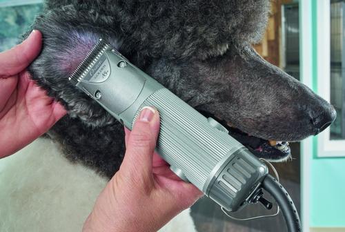 Show full view: Oster A5 Golden Pet Hair Grooming Clipper, 2-Speed slide 8 of 11