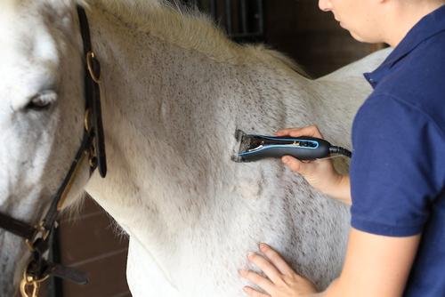 Show full view: Oster CryogenX Wide Replacement Blade, size 10 slide 2 of 5