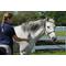 Show in main carousel: Oster Equine Care Stiff Grooming Horse Brush, Blue slide 2 of 3