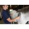 Show in main carousel: Oster Equine Care Stiff Grooming Horse Brush, Blue slide 3 of 3