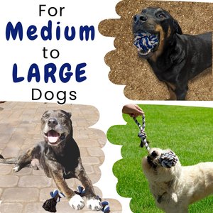 Otterly Pets Assorted Medium to Large Rope Dog Toys, 5 count