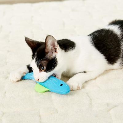Show full view: OurPets Annette Fish Cat Toy slide 9 of 12