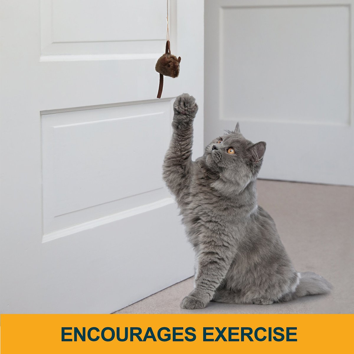 OurPets Batting Practice Interactive Cat Toy