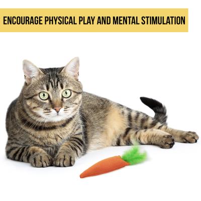 Show full view: OurPets Catnip 24 Karat Cat Toy slide 3 of 12