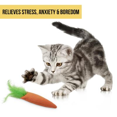 Show full view: OurPets Catnip 24 Karat Cat Toy slide 7 of 12