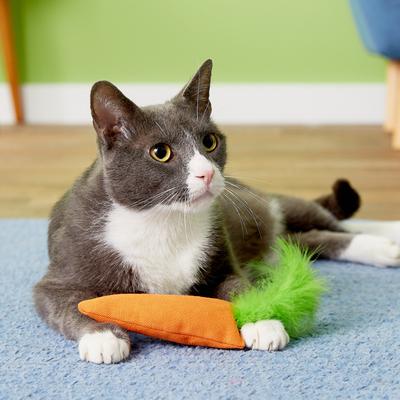 Show full view: OurPets Catnip 24 Karat Cat Toy slide 9 of 12