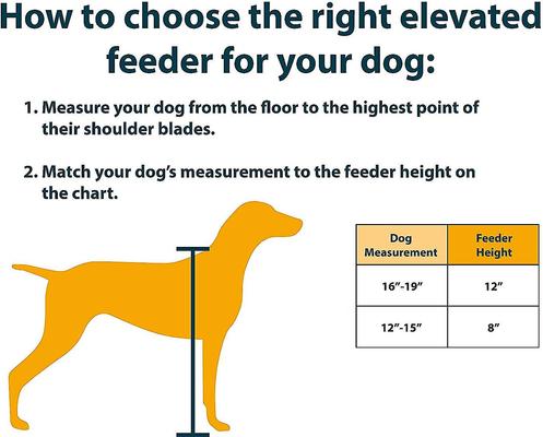 Show full view: OurPets Comfort Elevated Dog & Cat Bowls, Black, 4-cup slide 4 of 6