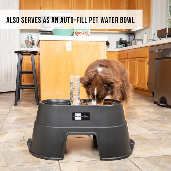 Show full view: OurPets Comfort Elevated Dog & Cat Bowls, Black, 5.5-cup slide 4 of 9