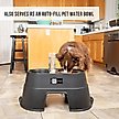 Show in main carousel: OurPets Comfort Elevated Dog & Cat Bowls, Black, 5.5-cup slide 4 of 9