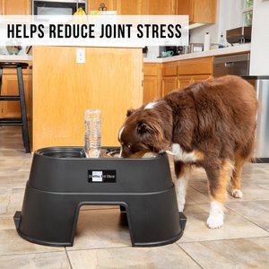 OurPets Comfort Elevated Dog & Cat Bowls, Black, 5.5-cup