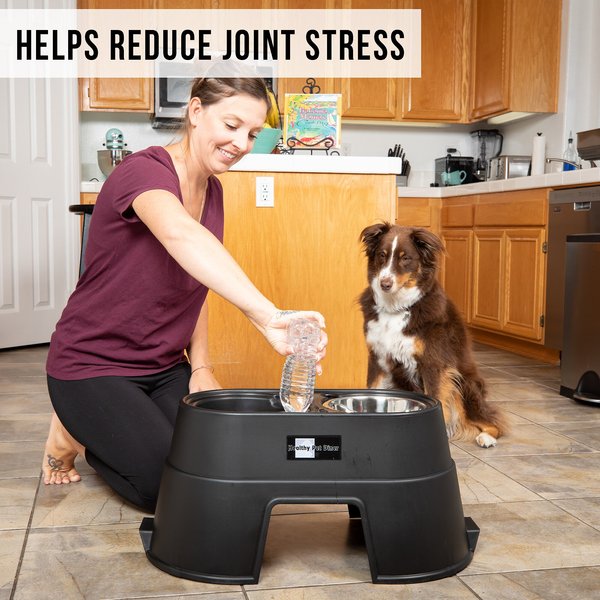 Show full view: OurPets Comfort Elevated Dog & Cat Bowls, Black, 5.5-cup slide 6 of 9