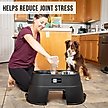 Show in main carousel: OurPets Comfort Elevated Dog & Cat Bowls, Black, 5.5-cup slide 6 of 9