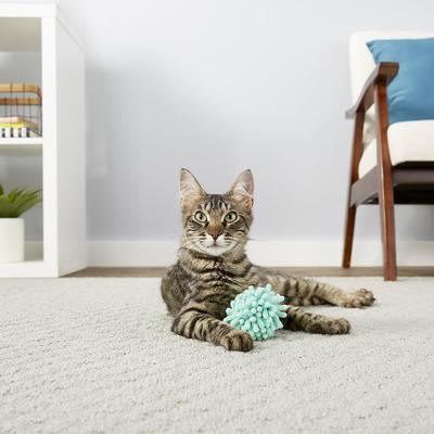 Show full view: OurPets Cosmic Catnip, 2.25-oz jar & Frisco Moppy Ball Cat Toy, Blue slide 4 of 5