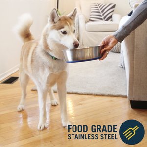 OurPets Durapet Premium Rubber-Bonded Stainless Steel Bowl, Large, 11 cups