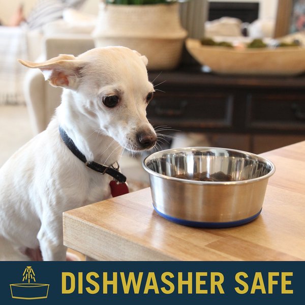 Show full view: OurPets Durapet Premium Rubber-Bonded Stainless Steel Bowl, Small, 2.25 cup slide 3 of 8