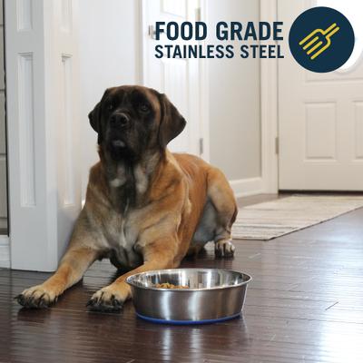 Show full view: OurPets Durapet Premium Rubber-Bonded Stainless Steel Bowl, X-Large, 13 cups slide 3 of 6
