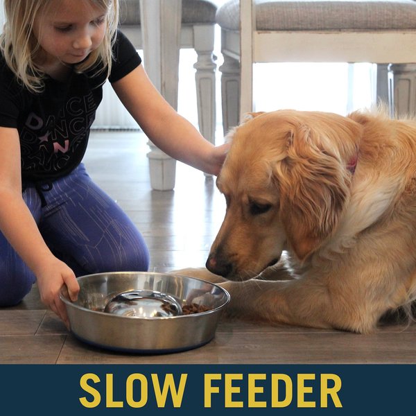 Show full view: OurPets Durapet Premium Stainless Steel Slow-Feed Dog Bowl, Medium, 5 cups slide 3 of 8