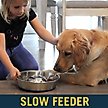 Show in main carousel: OurPets Durapet Premium Stainless Steel Slow-Feed Dog Bowl, Medium, 5 cups slide 3 of 8