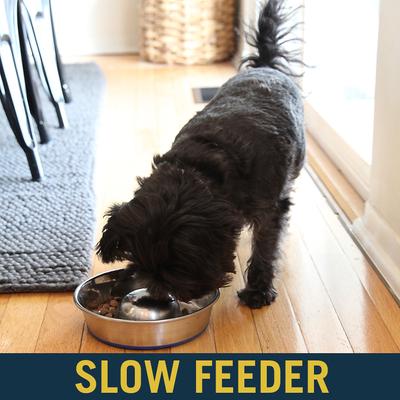 Show full view: OurPets Durapet Premium Stainless Steel Slow-Feed Dog Bowl, Small, 3 cups slide 3 of 8