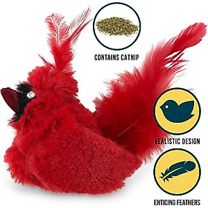 OurPets Play-N-Squeak Real Birds Cardinal Cat Toy