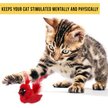 Show in main carousel: OurPets Play-N-Squeak Real Birds Cardinal Cat Toy slide 3 of 9