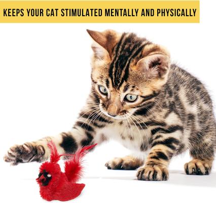 Show full view: OurPets Play-N-Squeak Real Birds Cardinal Cat Toy slide 3 of 9