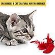 Show in main carousel: OurPets Play-N-Squeak Real Birds Cardinal Cat Toy slide 5 of 9