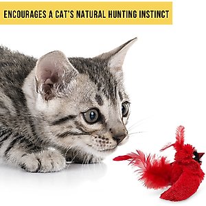 OurPets Play-N-Squeak Real Birds Cardinal Cat Toy