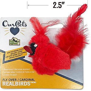 OurPets Play-N-Squeak Real Birds Cardinal Cat Toy